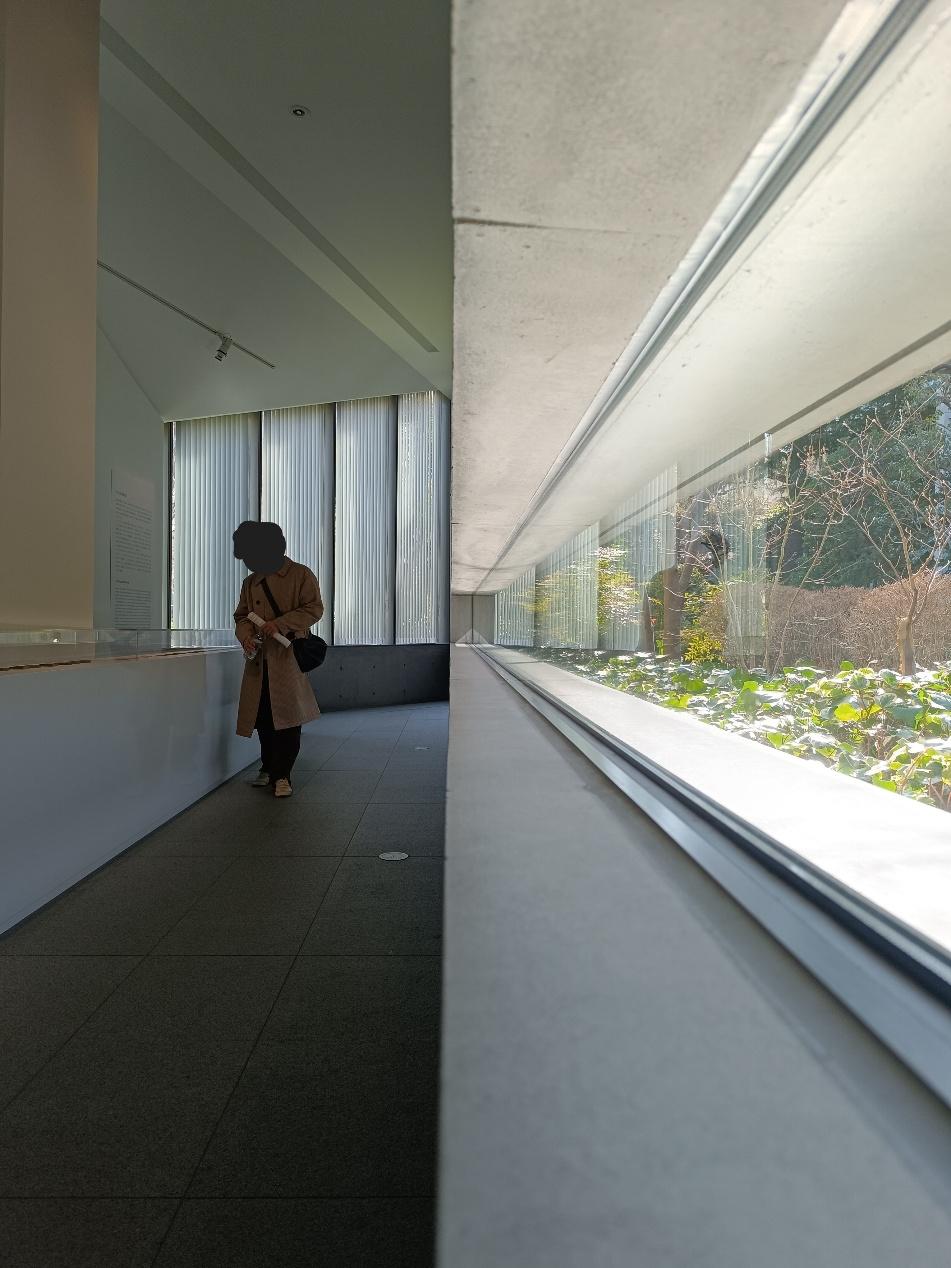 21_21 DESIGN SIGHTの館内。細長い水平の窓が庭の緑を切り取り、打ち放しコンクリートの天井に光が伸びる